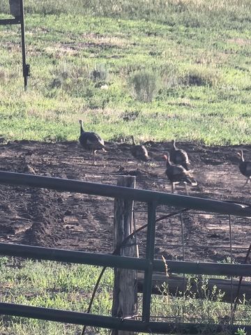 26101 Highway 141, Whitewater, CO 81527