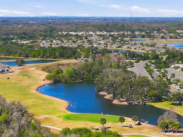 2132 GRANTHAM GREENS DRIVE, Sun City Center, FL 33573