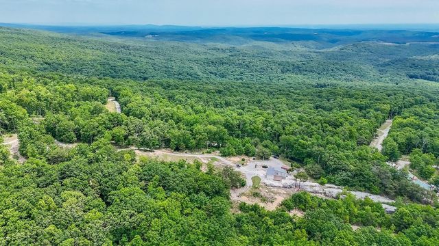 1407 Holloway Ridge Road, Spring City, TN 37381