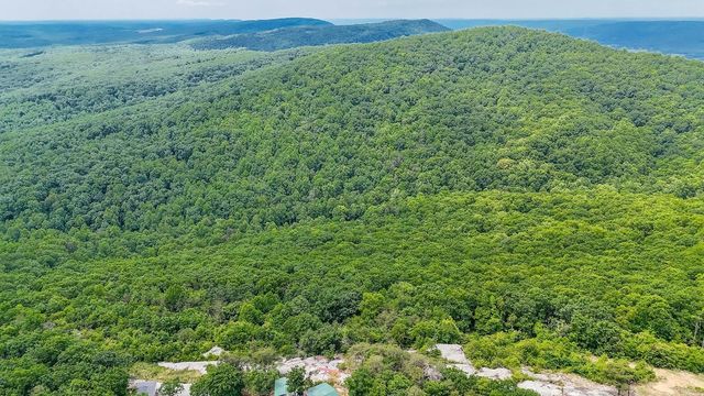 1407 Holloway Ridge Road, Spring City, TN 37381