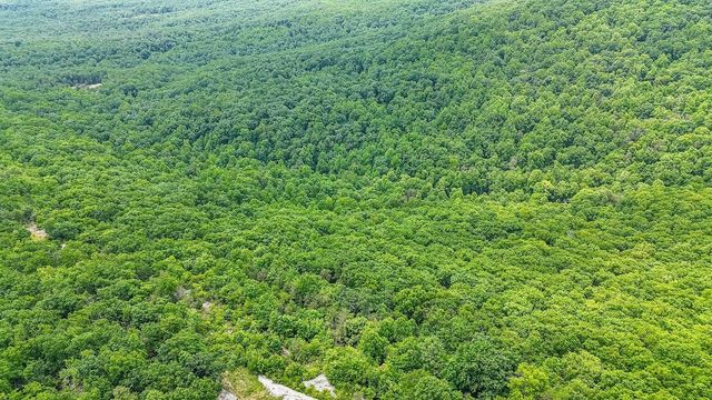1407 Holloway Ridge Road, Spring City, TN 37381