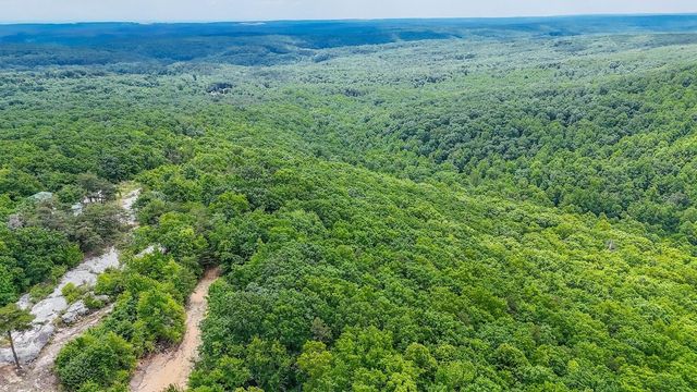 1407 Holloway Ridge Road, Spring City, TN 37381
