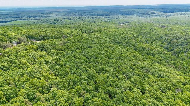 1407 Holloway Ridge Road, Spring City, TN 37381