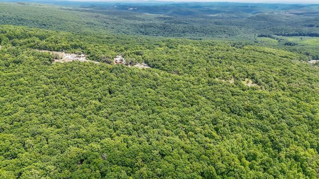 1407 Holloway Ridge Road, Spring City, TN 37381