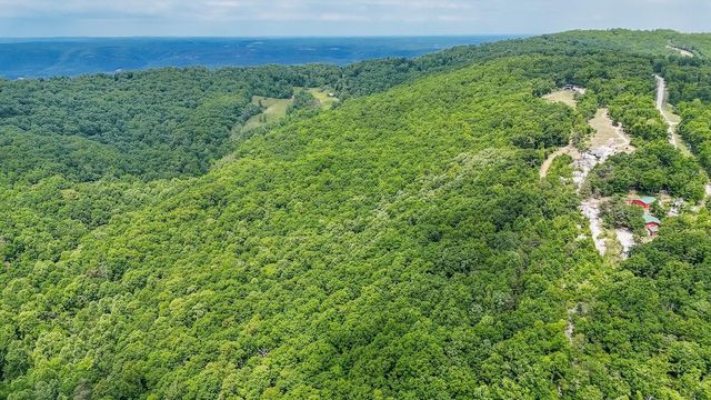 1407 Holloway Ridge Road, Spring City, TN 37381
