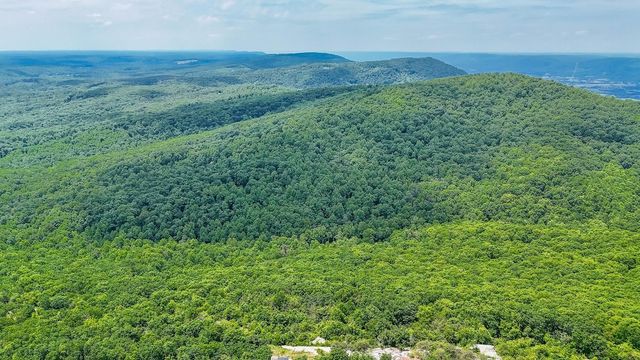 1407 Holloway Ridge Road, Spring City, TN 37381