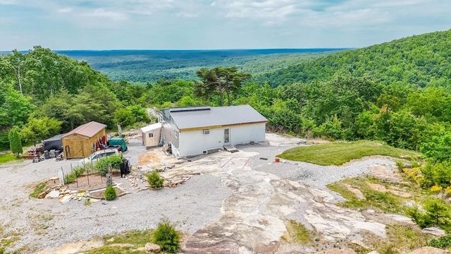 1407 Holloway Ridge Road, Spring City, TN 37381