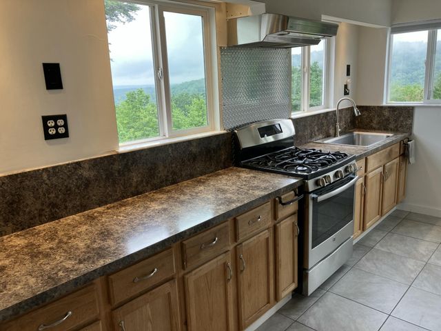 1407 Holloway Ridge Road, Spring City, TN 37381