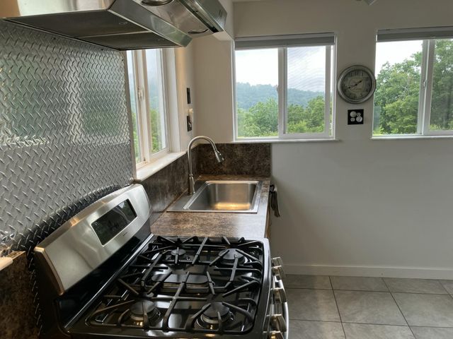 1407 Holloway Ridge Road, Spring City, TN 37381