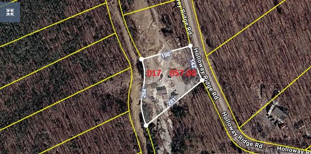1407 Holloway Ridge Road, Spring City, TN 37381