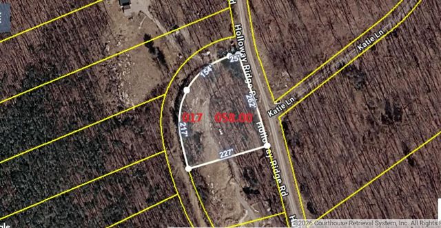 1407 Holloway Ridge Road, Spring City, TN 37381