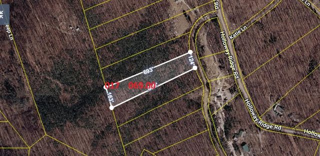 1407 Holloway Ridge Road, Spring City, TN 37381