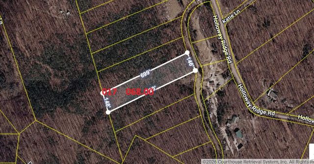 1407 Holloway Ridge Road, Spring City, TN 37381