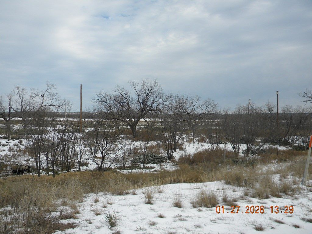 Image 3 of property listing at 13856 Old Sterling City Hwy, Water Valley, TX 76958