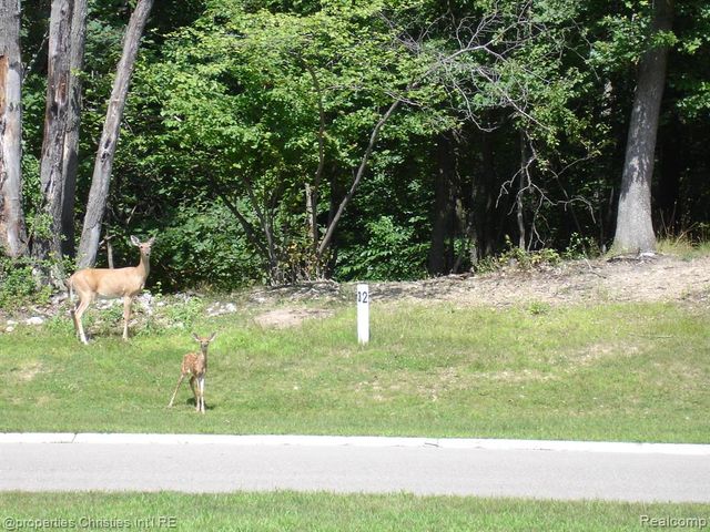 1451 Barrwood Trail, Oxford, MI 48371