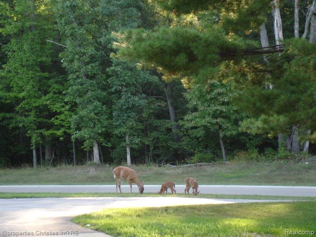 1451 Barrwood Trail, Oxford, MI 48371