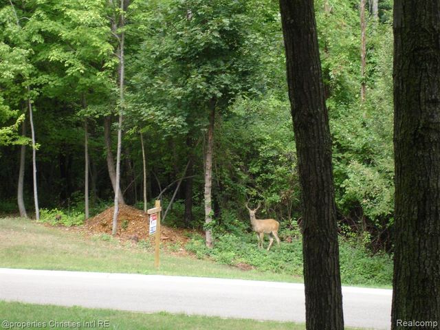 1451 Barrwood Trail, Oxford, MI 48371