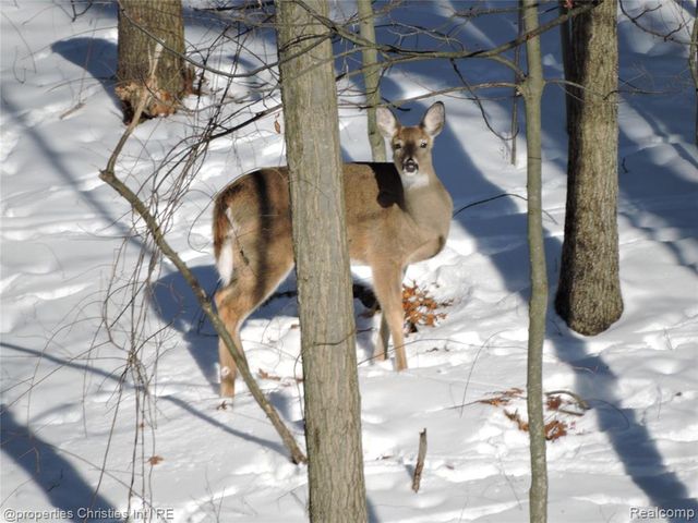 1451 Barrwood Trail, Oxford, MI 48371