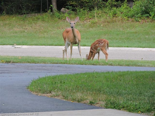 1451 Barrwood Trail, Oxford, MI 48371