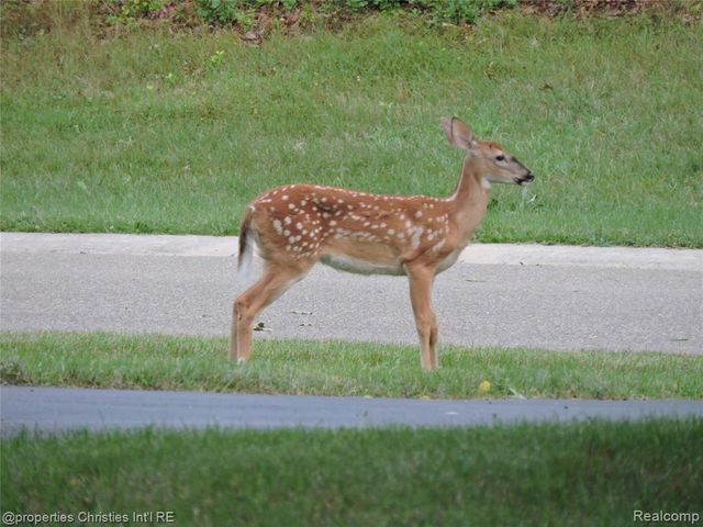 1451 Barrwood Trail, Oxford, MI 48371