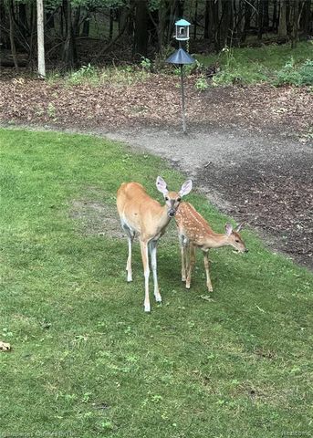 1451 Barrwood Trail, Oxford, MI 48371