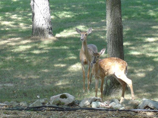 1451 Barrwood Trail, Oxford, MI 48371