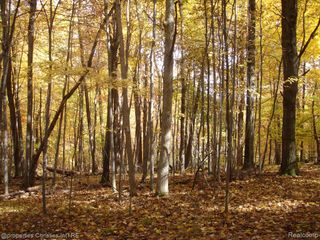 1451 Barrwood Trail, Oxford, MI 48371