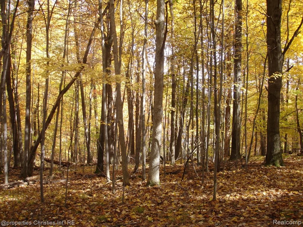 1451 Barrwood Trail, Oxford, MI 48371