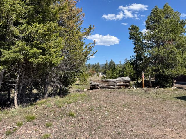 NHN Pine Drive, Seeley Lake, MT 59868
