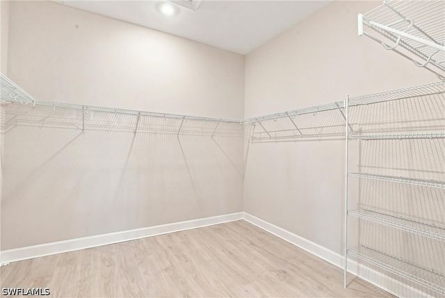 15649 Triesta LN, Naples, FL 34114
