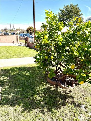 22433 Island, Carson, CA 90745