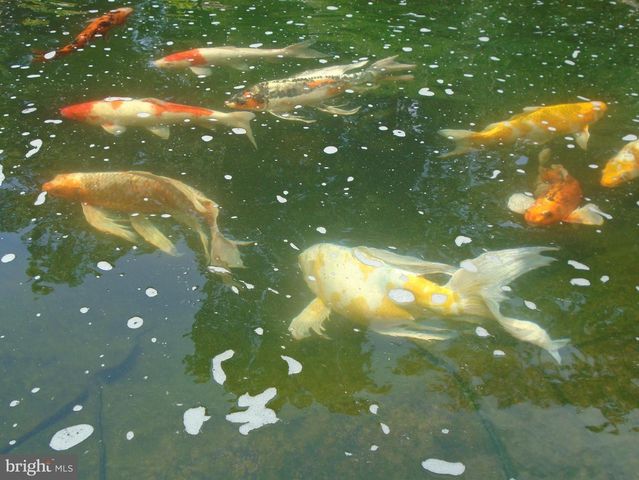 22 NUGENTOWN RD, Tuckerton, NJ 08087