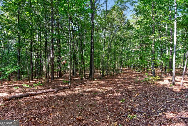 733_763 Glass Bridge Road, Lagrange, GA 30240