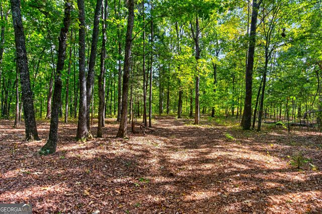 733_763 Glass Bridge Road, Lagrange, GA 30240