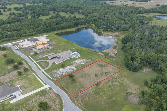 15322 FISHHAWK HEIGHTS RUN, Lithia, FL 33547