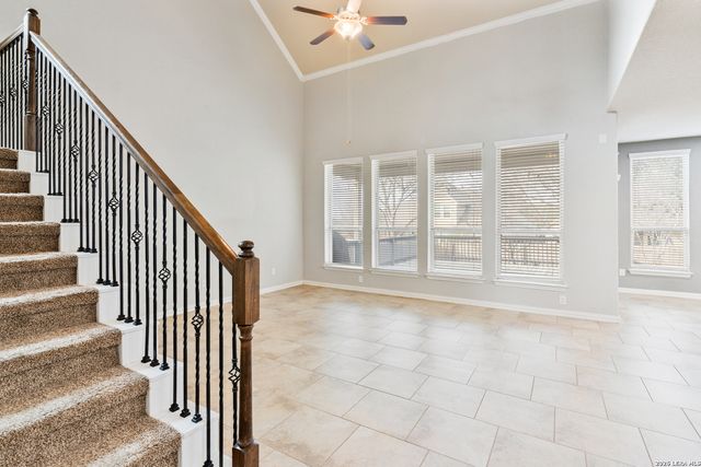 807 Gold Beauty, San Antonio, TX 78245