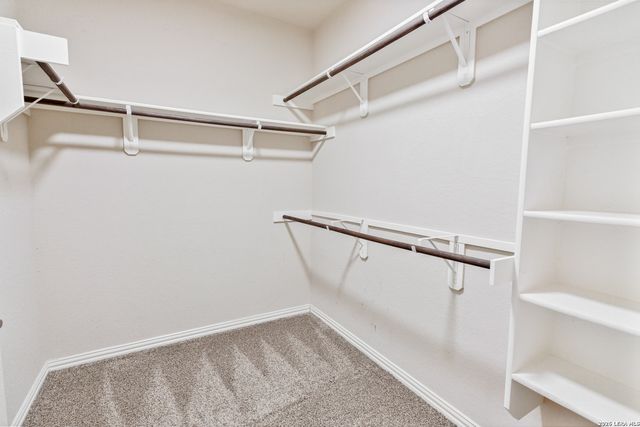 807 Gold Beauty, San Antonio, TX 78245