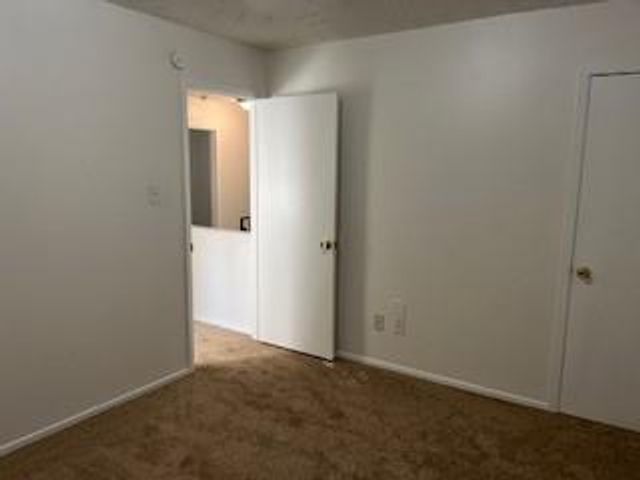 61 S Waxberry Road, The Woodlands, TX 77381