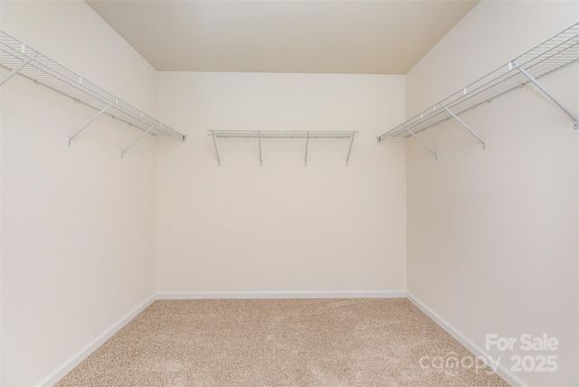 6237 Shelley Avenue, Charlotte, NC 28269