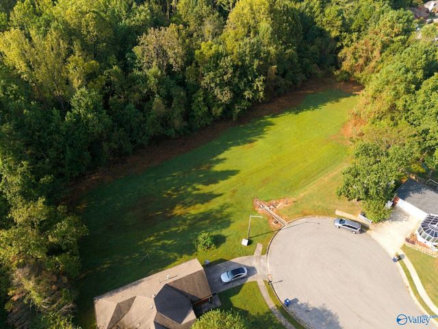 221 Jarrett Lane, Madison, AL 35758