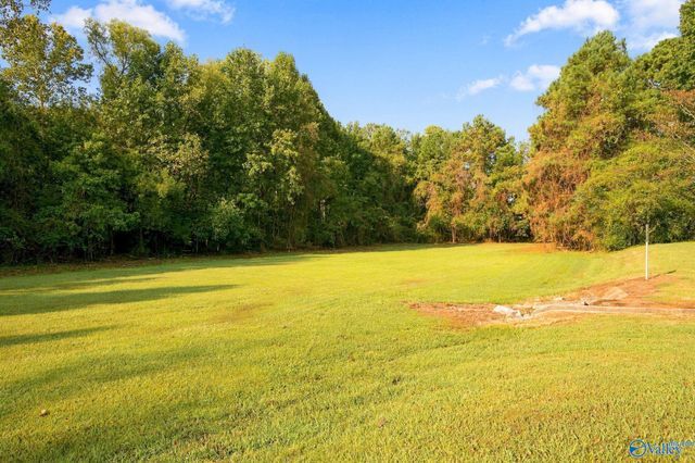 221 Jarrett Lane, Madison, AL 35758