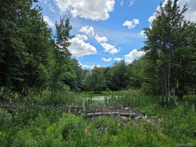 589-593 W Broadway, Monticello, NY 12701