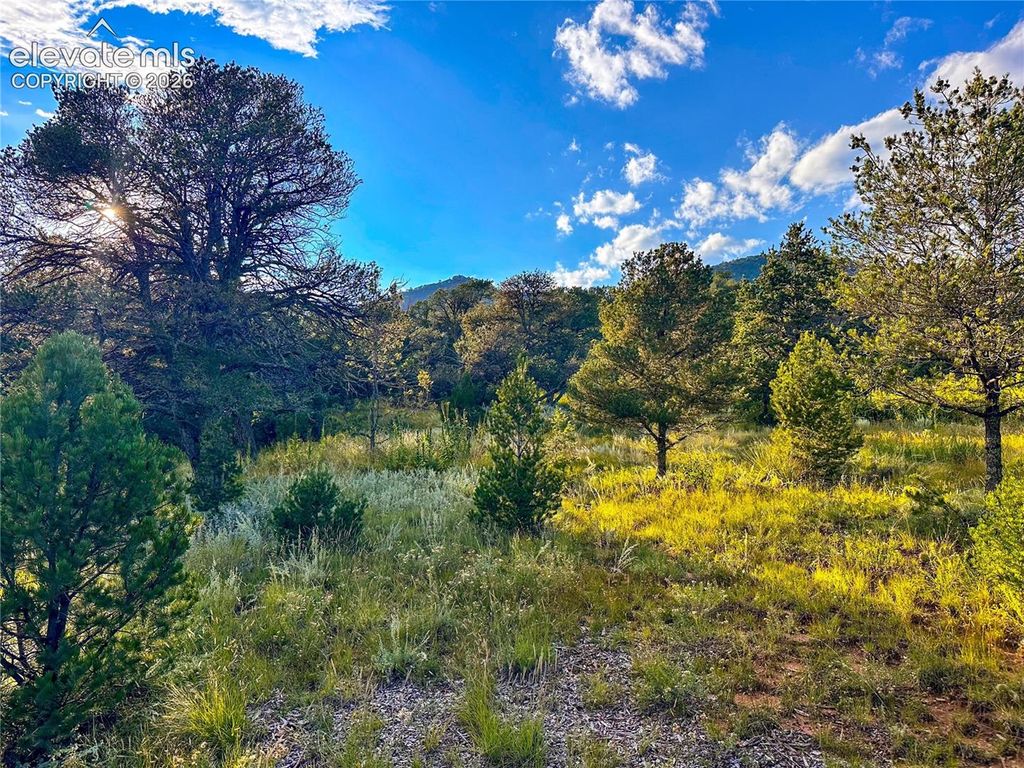 16116 Cala Rojo Drive, Colorado Springs, CO 80926 — photo 2