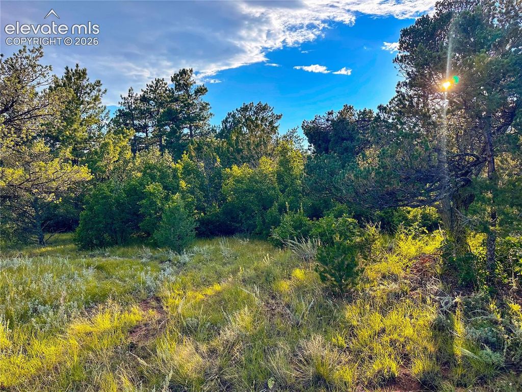 16116 Cala Rojo Drive, Colorado Springs, CO 80926 — photo 3