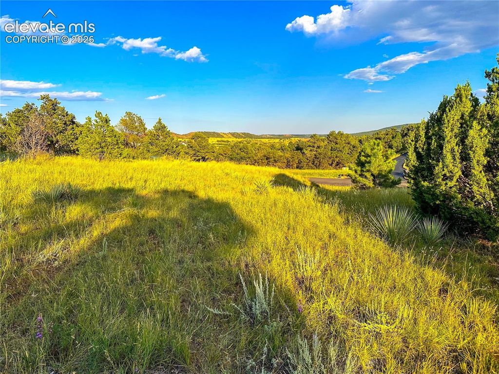 16116 Cala Rojo Drive, Colorado Springs, CO 80926 — photo 5