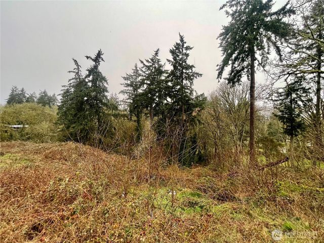 0 Edgewater Drive SW, Lakewood, WA 98499