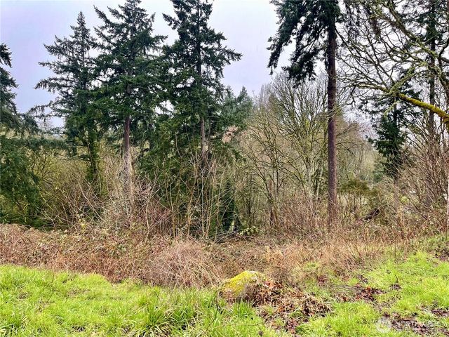 0 Edgewater Drive SW, Lakewood, WA 98499