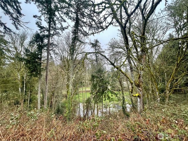 0 Edgewater Drive SW, Lakewood, WA 98499