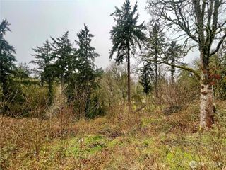 0 Edgewater Drive SW, Lakewood, WA 98499