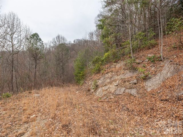 000 Sigogglin Road 17, Waynesville, NC 28786